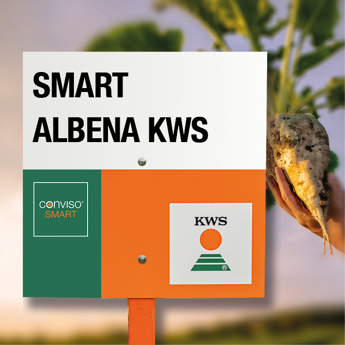 SMART albena KWS