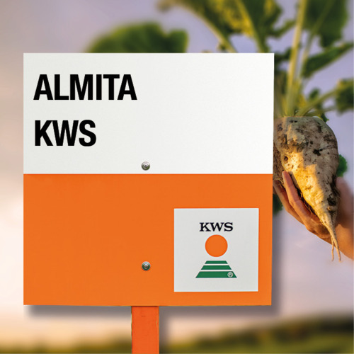 almita KWS
