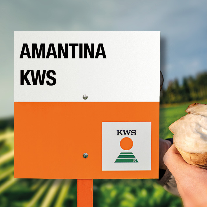 amantina KWS