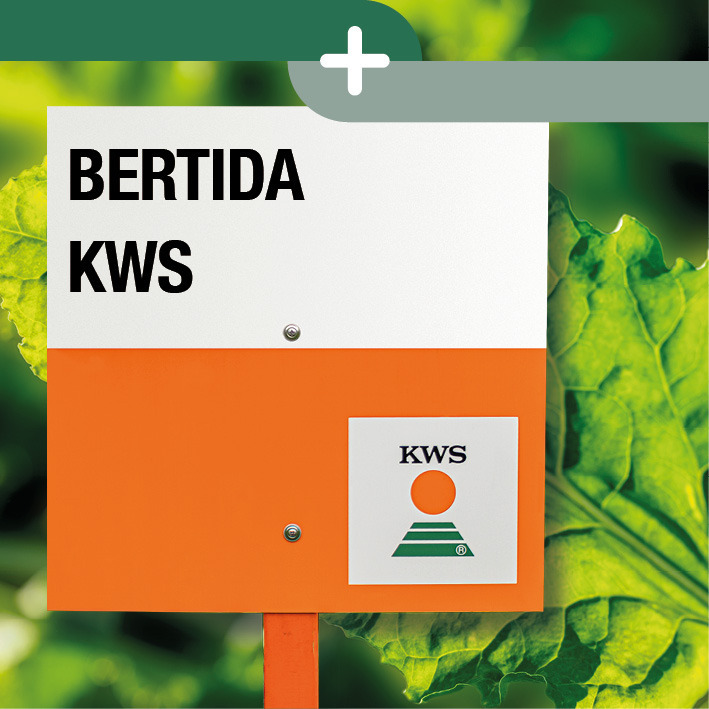 bertida KWS