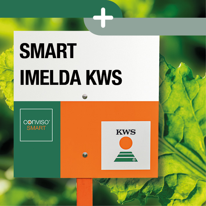 SMART imelda KWS