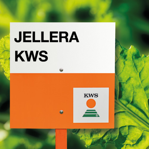 jellera KWS