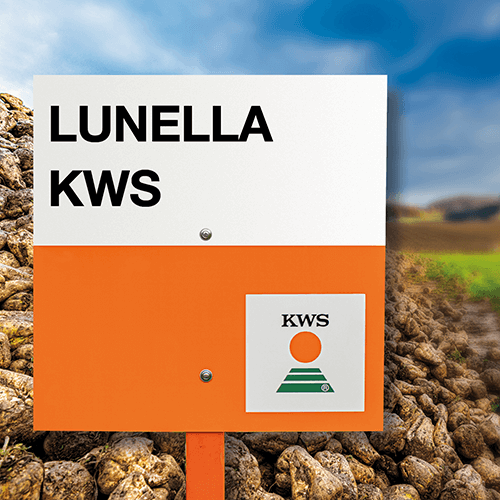 lunella KWS