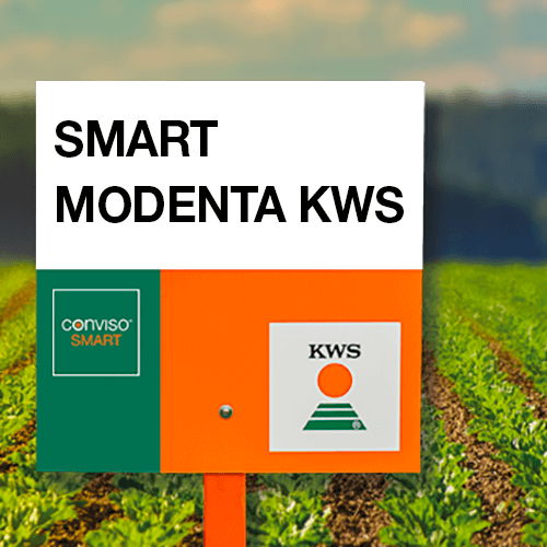 SMART modenta KWS