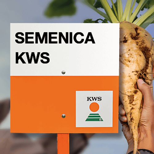 semenica KWS