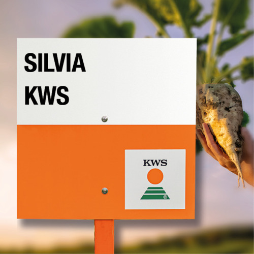 silvia KWS