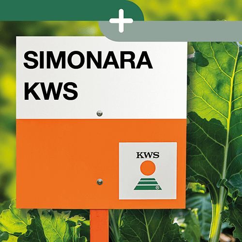 simonara KWS